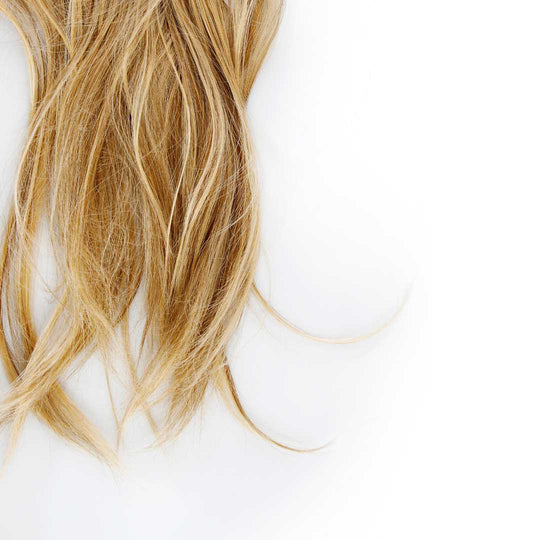 Pointes de cheveux sur fond blanc - LAO - Cheveux au naturel - Soins lavants 100% d'origine naturelle - Shampoings sans sulfates ni silicones
