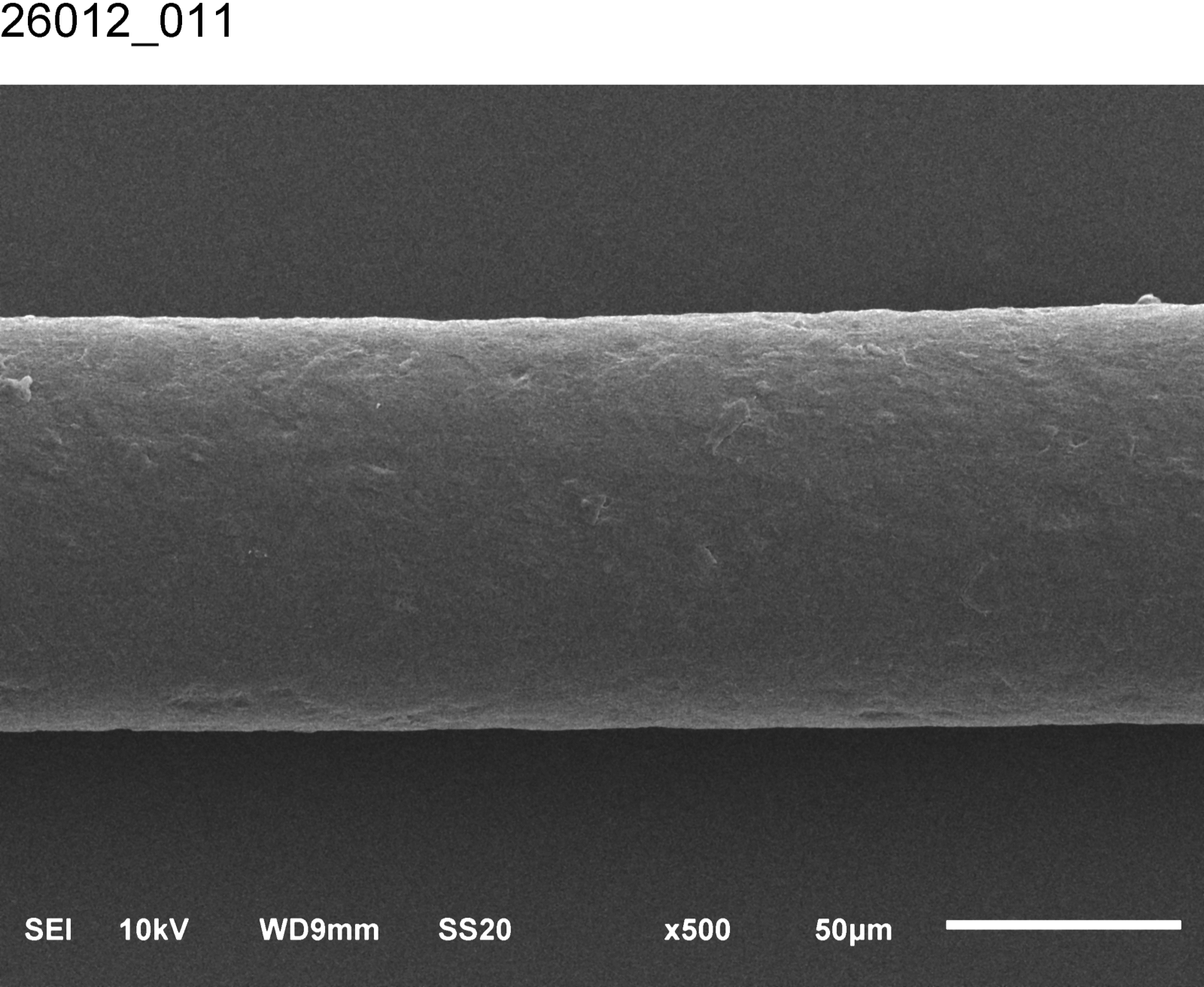 Cheveu saturé en silicone, microscope électronique à balayage